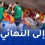 البطولة الإفريقية للريشة الطائرة.. الجزائر تتأهل للنهائي