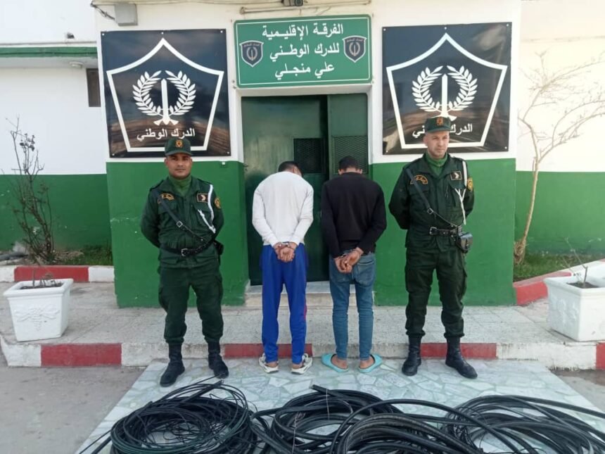 قسنطينة: توقف شخصين يمتهنان سرقة الكوابل الهاتفية