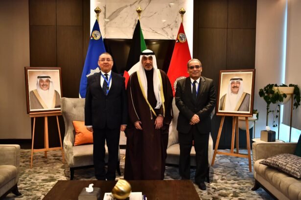 مراد يبحث مع نظيره الكويتي تعزيز التعاون الثنائي