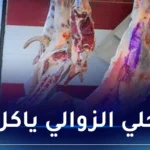 هذه أسعار اللحوم المستوردة في رمضان