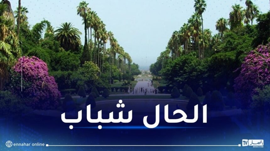 هذه توقعات الطقس اليوم