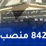 وزارة التضامن تفتح باب التوظيف