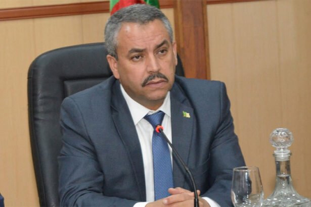 وزير التربية يستقبل المنسّق الوطني للمجلس الوطني المستقل لنظّار الثانويات