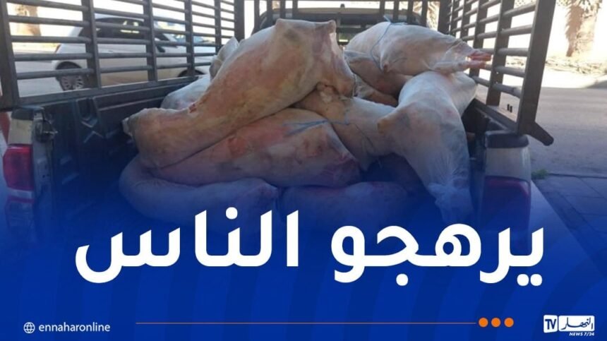 وهران .. حجز أكثر من 7 قناطير لحوم مستوردة فاسدة تُسوَّق بمحلات “السوبر ماركت”