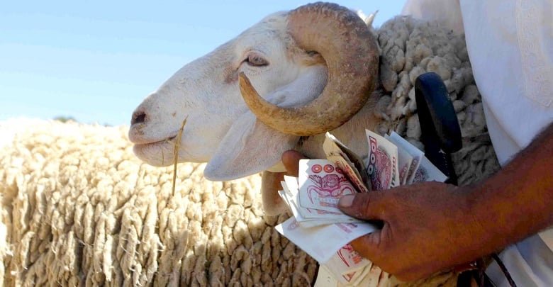 استيراد المواشي.. هذه حصة العاصمة