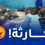 الأمن يضبط كميات معتبرة من اللحوم الفاسدة بسوق أهراس