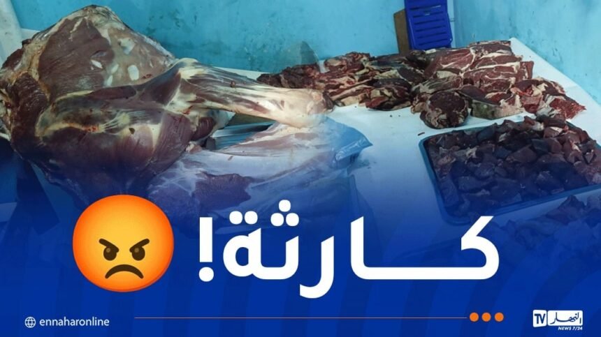 الأمن يضبط كميات معتبرة من اللحوم الفاسدة بسوق أهراس