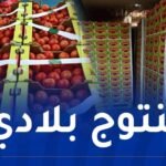 الوادي تصدير 20 طن من الطماطم الطازجة لفرنسا