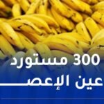 تحقيقات واسعة للإطاحة ببارونات “البنان”