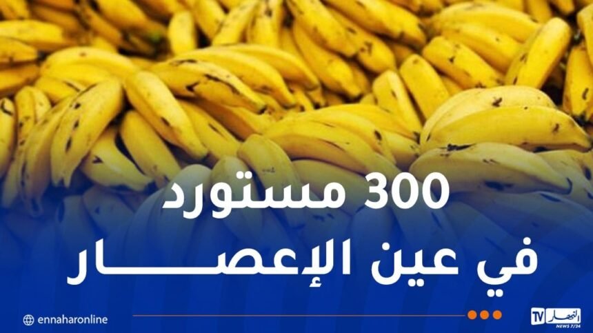 تحقيقات واسعة للإطاحة ببارونات “البنان”