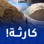 تيارت: الدرك يكشف ورشة سرية لصناعة الشمة المقلّدة ويحجز 13 طنا