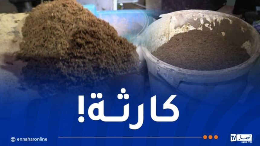 تيارت: الدرك يكشف ورشة سرية لصناعة الشمة المقلّدة ويحجز 13 طنا