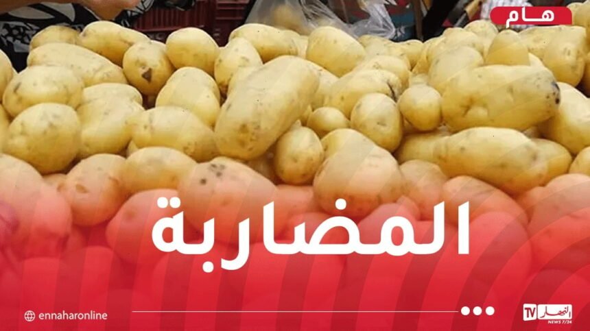 حجز 150 طن من البطاطا ببومرداس!