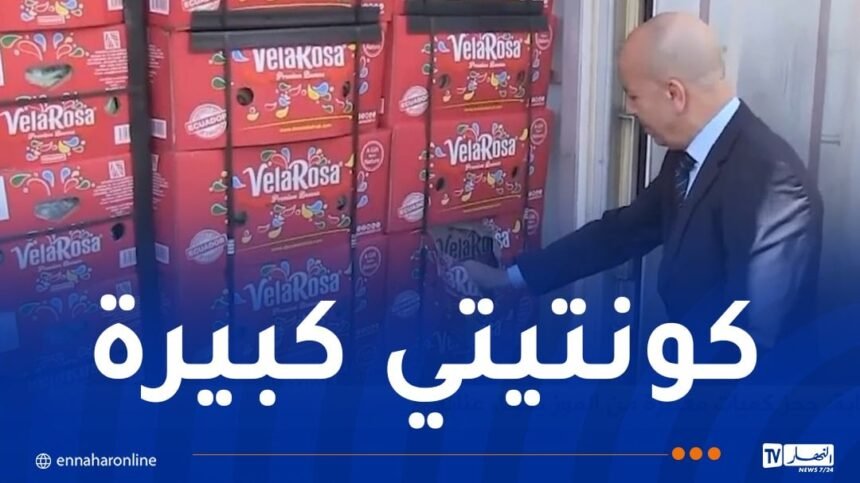 حجز 34 حاوية من الموز بميناء عنابة