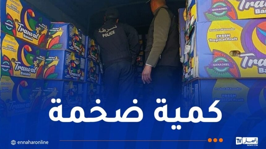 حجز أزيد من 26 قنطارا من الموز في تيبازة