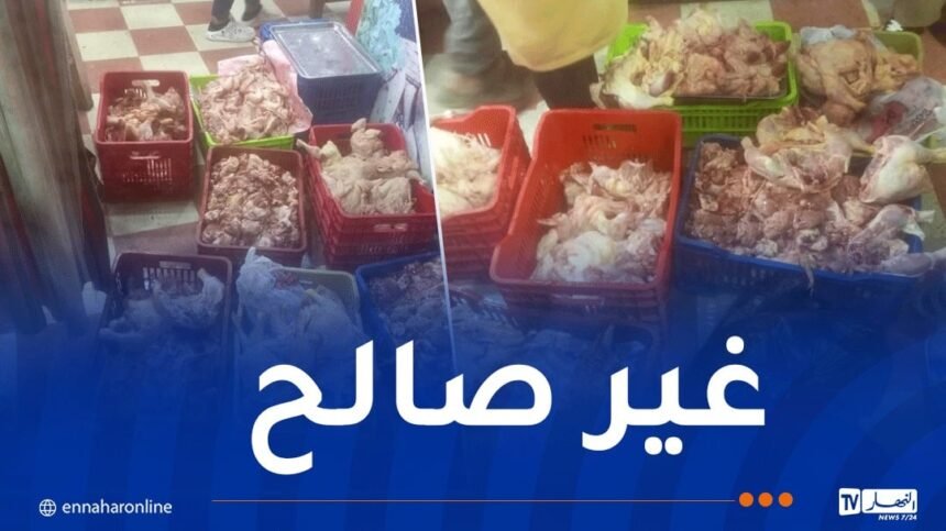 حجز أكثر من قنطارين دجاج فاسد بأم البواقي