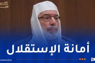 عميد جامع الجزائر: الشباب هم الفئة المأمولة في حاضر الأمة ومستقبلها