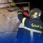 قسنطينة.. إحتراق بيوت بلاستيكية لتربيه الدواجن