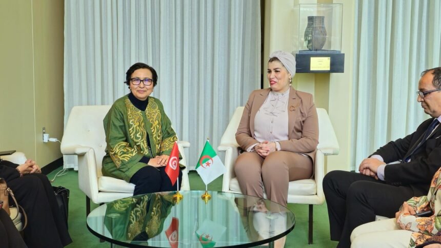 وزيرة التضامن تتحادث مع نظيرتها التونسية