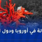 تسميم الجزائريين بمنتجات مستوردة “بيريمي” مقابل تهريب المرجان