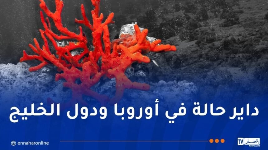 تسميم الجزائريين بمنتجات مستوردة “بيريمي” مقابل تهريب المرجان
