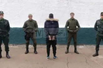 3 سنوات سجنا لشاب أحرق غابة “بينام” لتجميع الفحم لعيد الأضحى