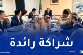 الرائد في الطاقات المتجددة “LONGI” يبدي اهتمامه بتجسيد مشروع لصناعة الألواح الشمسية في الجزائر