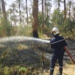المغير .. حرائق الغابات بسيدي عمران