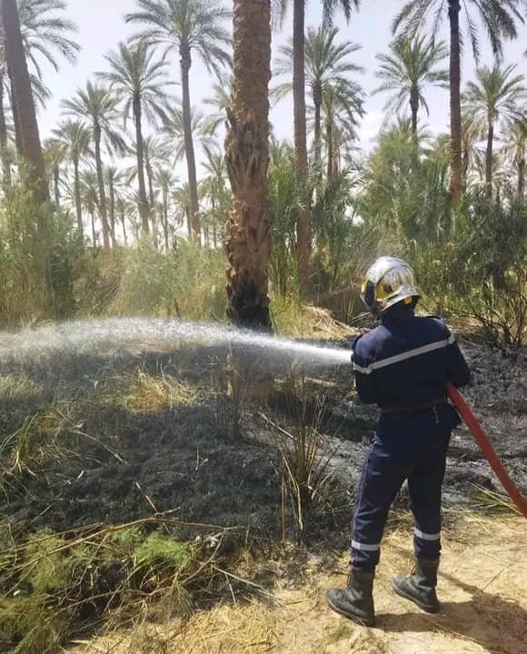 المغير .. حرائق الغابات بسيدي عمران