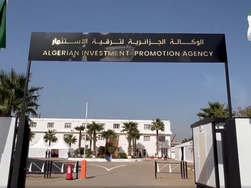 بقيمة 4.5 مليار دولار..تسجيل 42 مشروعا استثماريا صينيا