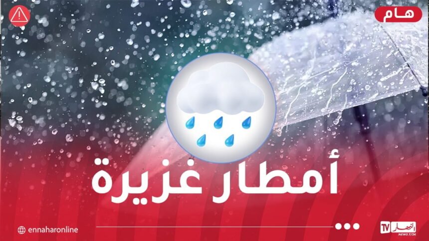 تصل لـ40 ملم.. أمطار رعدية وبرد بهذه الولايات