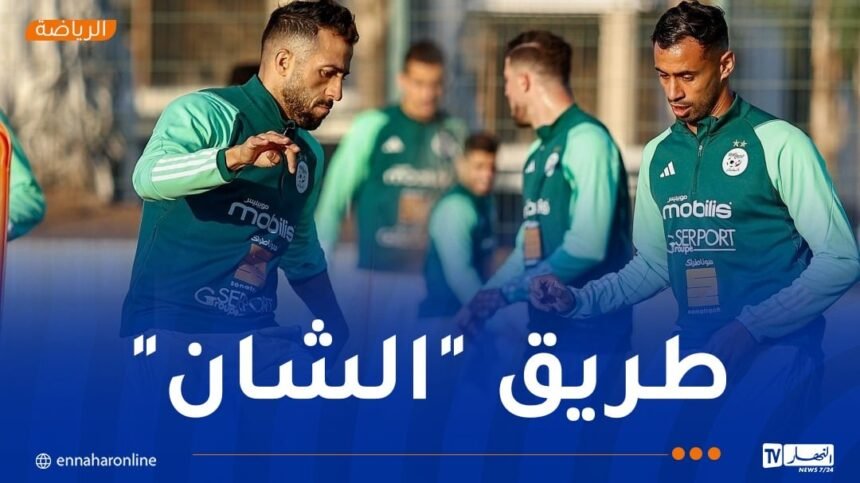 تعداد محليي “الخضر” يكتمل وبن خماسة يُغادر التربص