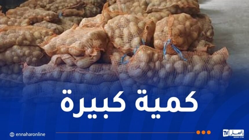 تفريغ أزيد من 4 طن من البطاطا