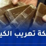 تفكيك شبكة دولية لتهريب المخدرات بتلمسان