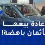 توقيف 7 أشخاص بتهمة المضاربة في سيارات فيات