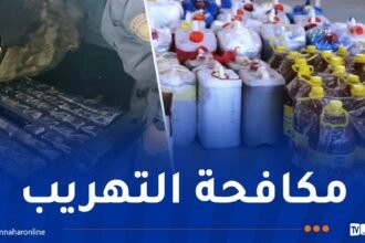 جمارك.. حجز سلع ومواد إستهلاكية بحوزة مسافرين بميناء بجاية