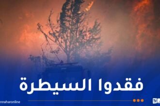حرائق ضخمة في الأراضي الفلسطينية المحتلة..وسلطات الكيان تطلب مساعدة دولية