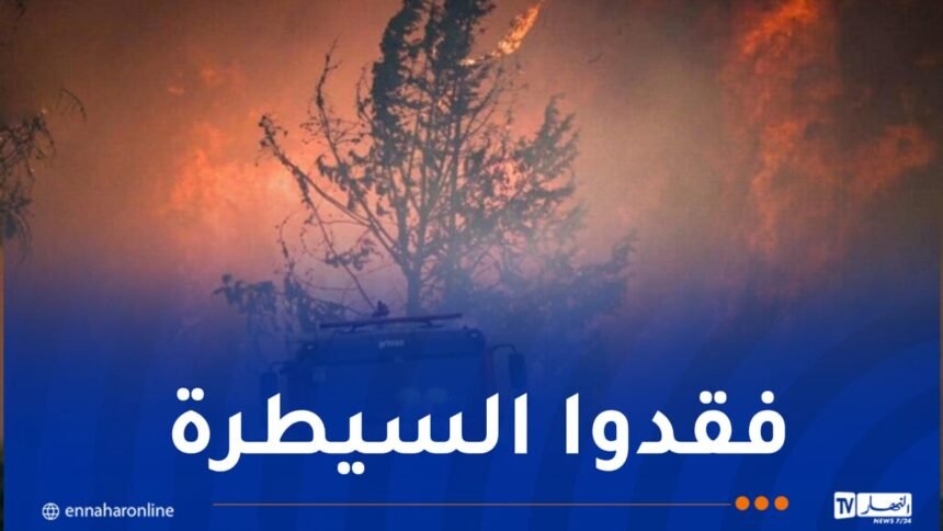 حرائق ضخمة في الأراضي الفلسطينية المحتلة..وسلطات الكيان تطلب مساعدة دولية