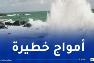 رياح قوية وأمواج عاتية على هذه السواحل