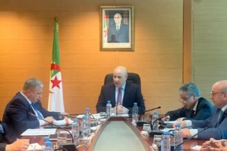 زيتوني يشدّد على أهمية استغلال البيانات الأساسية الخاصة بنتائج عملية الإحصاء الاقتصادي