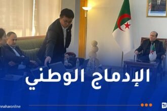 شراكة جزائرية صينية لصناعة اللوحات الشمسية محليا
