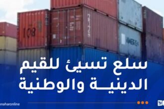 ضبط 20 حاوية مشبوهة بها سلع خطيرة منافية للأخلاق بميناء وهران