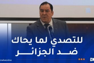 مزيان: تأسيس جبهة إعلامية موحدة أصبح ضروريا