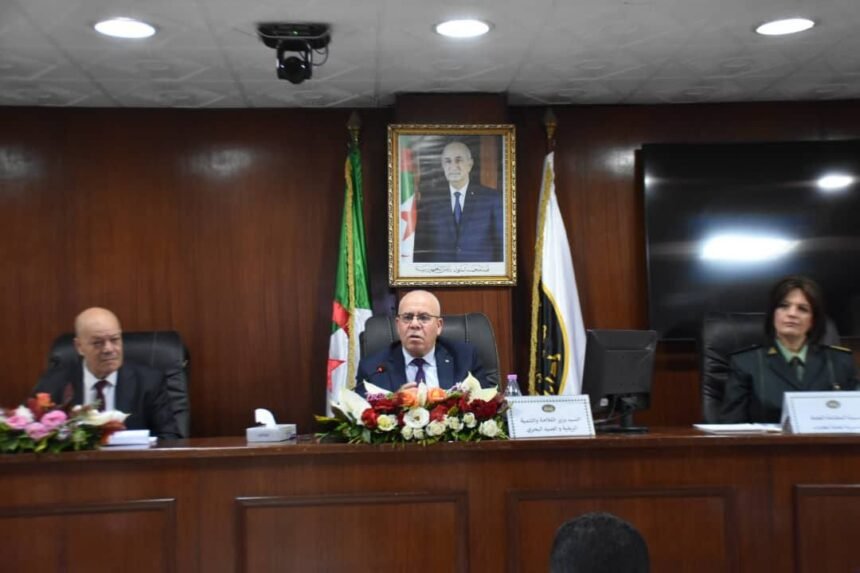 هذا جديد مشروع إعادة تأهيل السد الأخضر