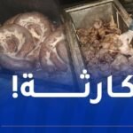 وهران.. إتلاف 9 طن لحوم ومستحضرات “المرڨاز” غير صالحة