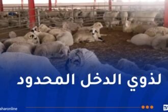 الدخل أقل من “5 ملايين”.. إعلان هام للراغبين في إقتناء أضاحي العيد المستوردة