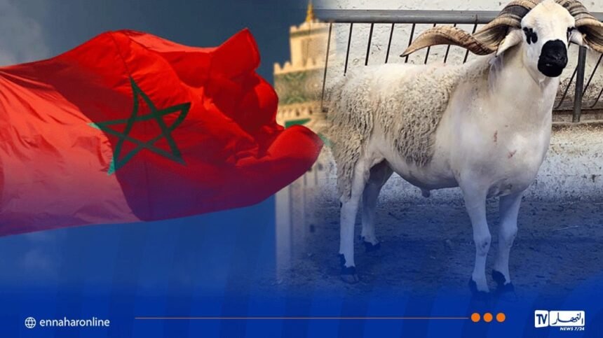 المخزن يعلن السبت يوم عيد الأضحى