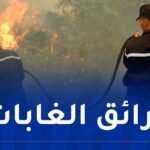 35 درون لتأمين الغابات.. 150 مليون غرامة والمؤبد للمتسببين في إحراقها