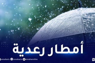  أمطار رعدية على 10 ولايات بداية من مساء اليوم 