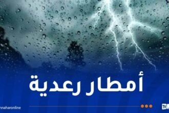 أمطار رعدية غزيرة ورياح قوية إلى الخميس